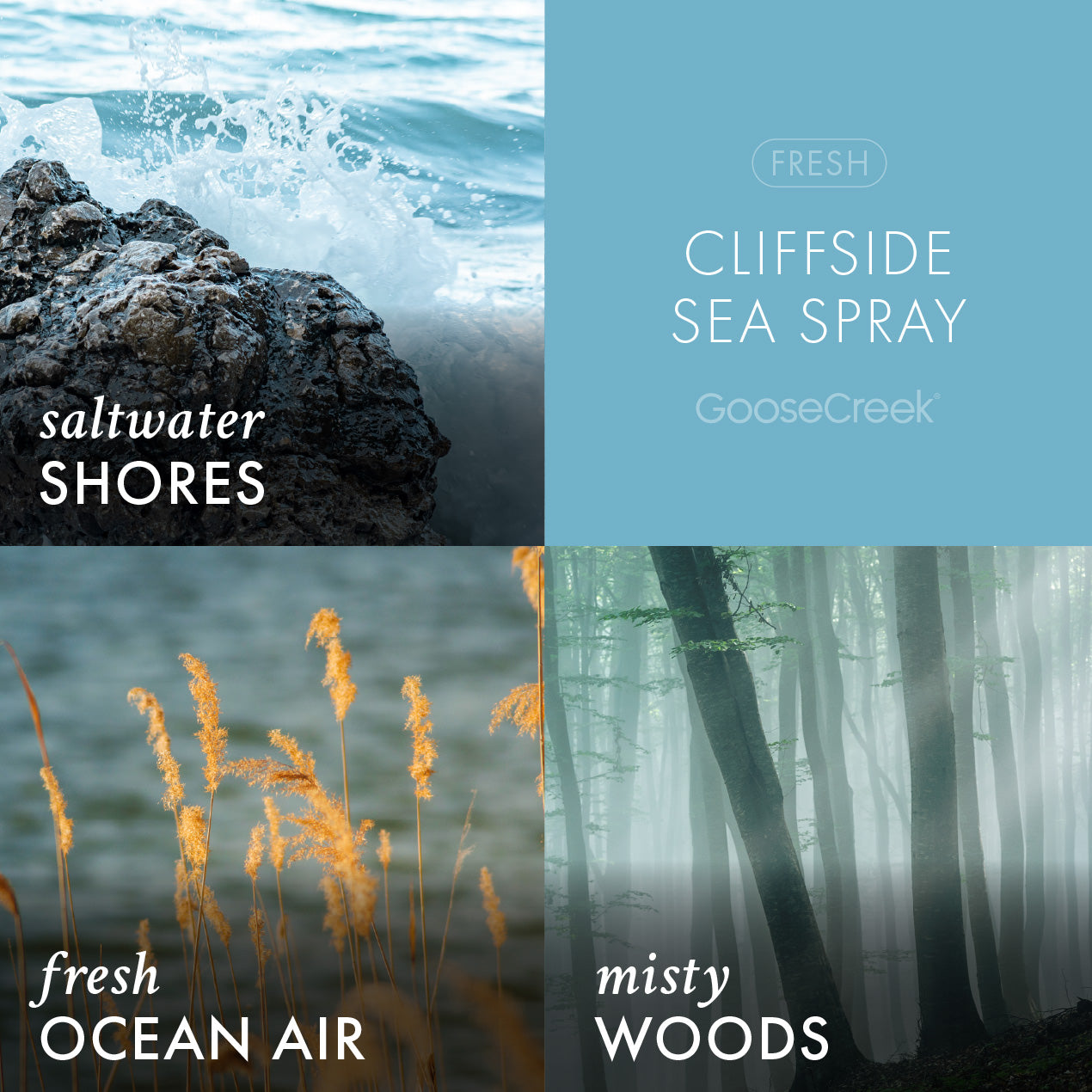 Cliffside Sea Spray Lush Foaming Hand Soap - Image 2