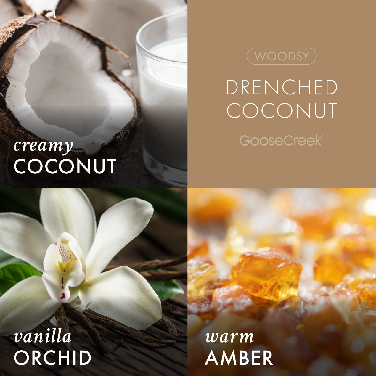 Drenched Coconut Plug-in Refill - Image 2