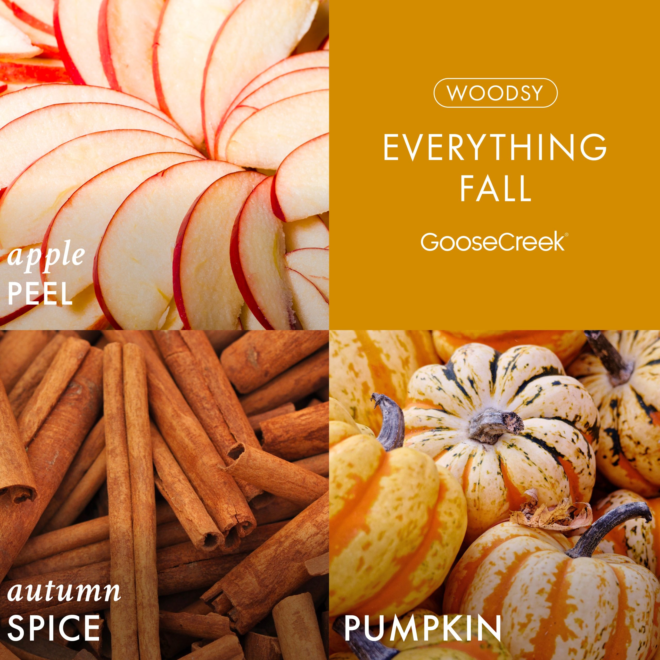 Everything Fall 3-Wick Candle - Image 2