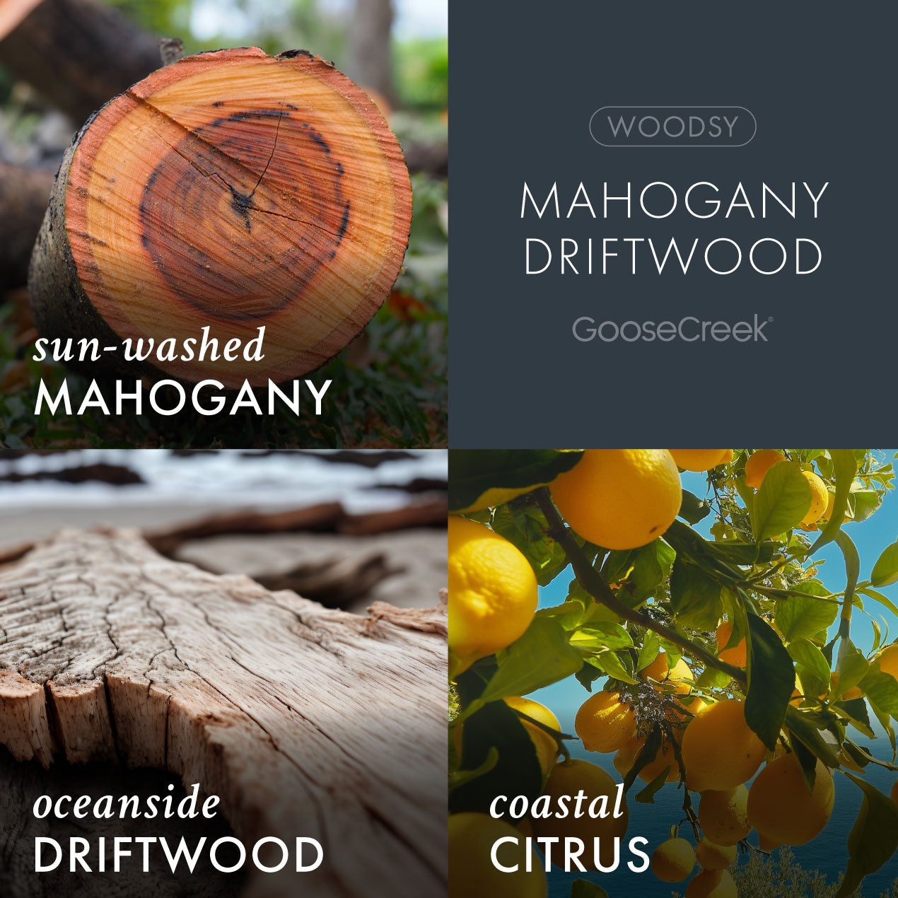 Mahogany Driftwood 3-Wick Candle - Image 2