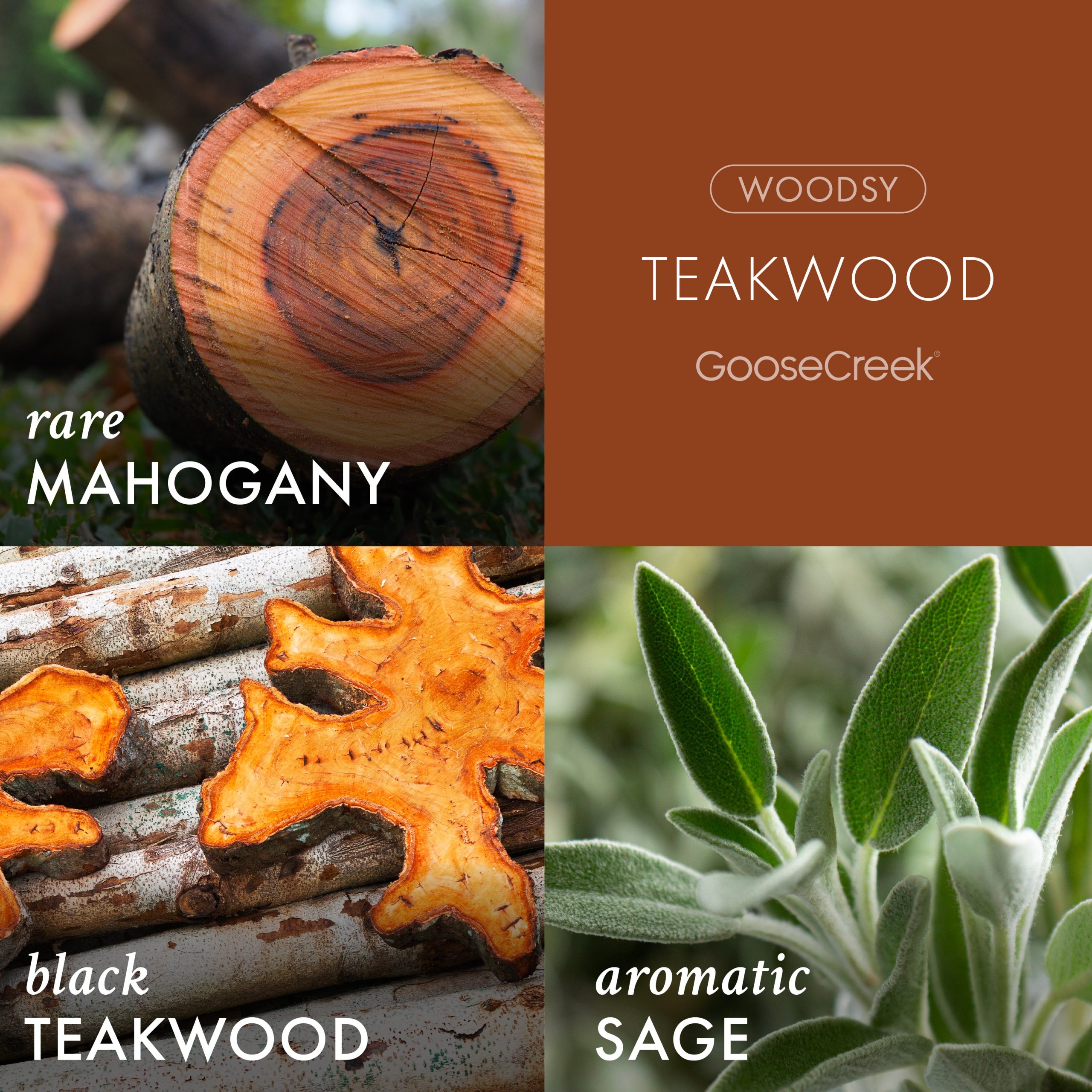 Teakwood Odor Eliminating 3-Wick Candle - Image 2