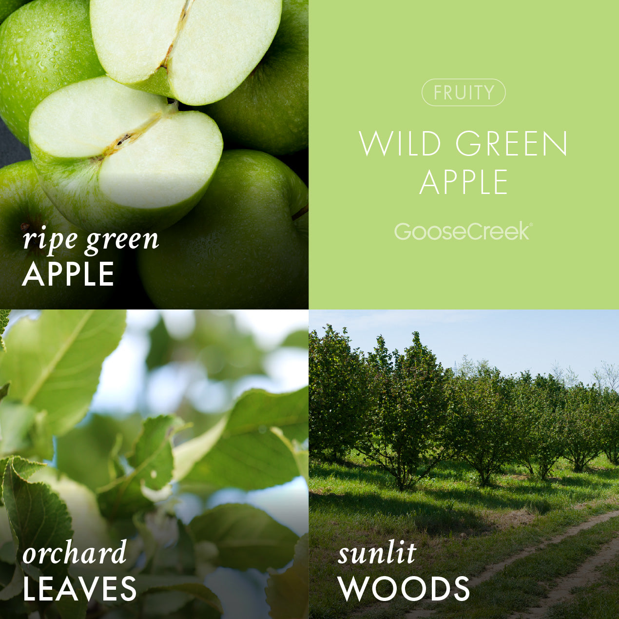 Wild Green Apple Plug-in Refill - Image 2